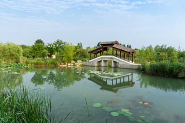 Fototapeta na wymiar Nanhu National Urban Wetland Park, Huaibei, Anhui, China
