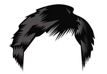 Hair of illustration 