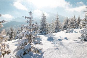 mountain landscape in the winter