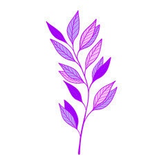 Fototapeta na wymiar Purple leaves illustration. Natural.