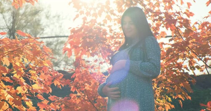Pregnant woman in sun glare light autumn outdoor. Happy girl with pregnant belly standing in orange fall foliage. Mother expecting child. Maternity, motherhood care in natural park. Tranquil pregnancy