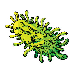 bacteria virus hand drawn vector. bacterium cell, germ disease, microbe biology bacteria virus sketch. isolated color illustration