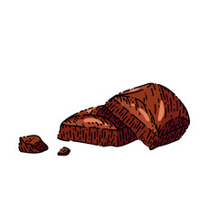 chocolate pieces hand drawn vector. dark cocoa, milk cacao, broken candy chocolate pieces sketch. isolated color illustration
