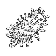 bacteria virus hand drawn vector. bacterium cell, germ disease, microbe biology bacteria virus sketch. isolated black illustration