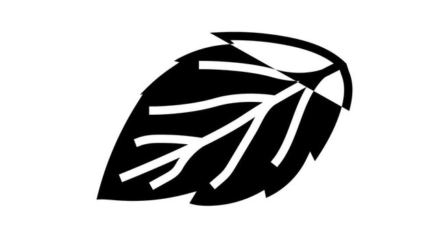 leaf raspberry green line icon animation