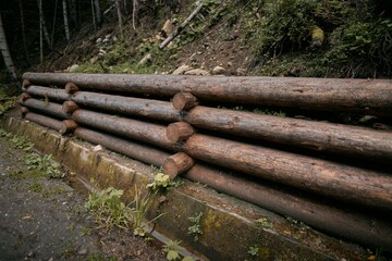 Wooden retaining wall to prevent soil from falling in the national park. A natural retaining wall...