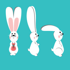 White bunnies