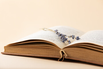 Open book with lavender flowers on beige background, education, learning, study, culture.