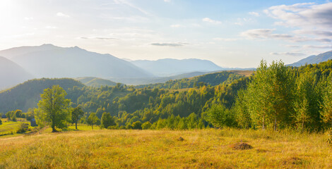 mountainous rural landscape on a sunny afternoon. forested hills and green grassy meadows in evening light. ridge in the distance. sunny weather with fluffy clouds on the bright blue sky - Powered by Adobe