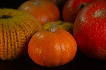 Yellow-orange pumpkins on a black background the concept of Halloween and the autumn harvest of pumpkin close-up copyspace from above