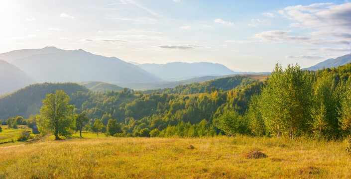 mountainous rural landscape on a sunny afternoon. forested hills and green grassy meadows in evening light. ridge in the distance. sunny weather with fluffy clouds on the bright blue sky
