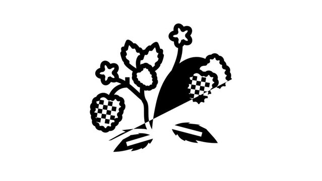 berries plant raspberry fruit line icon animation