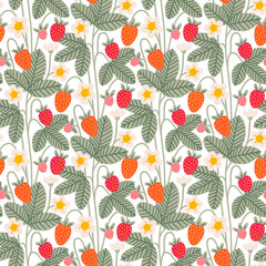 Wild strawberries retro print illustration - 550544103