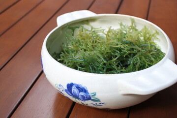 Seaweed (Eucheuma cottonii) in a white bowl with blue floral pattern and wood background. Usually used to make Indonesian traditional snack dodol.