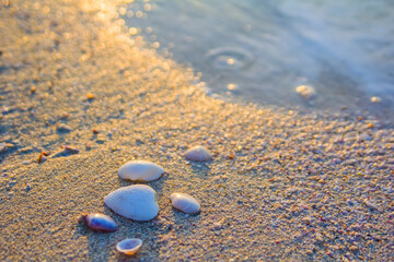 Fototapeta na wymiar photo background shells on a deserted beach by the sea at sunset in Dubai Marina, Dubai