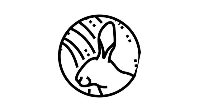 rabbit chinese horoscope animal line icon animation