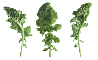 Poster Isolated of three green kale leaves. Healthy food © VICUSCHKA
