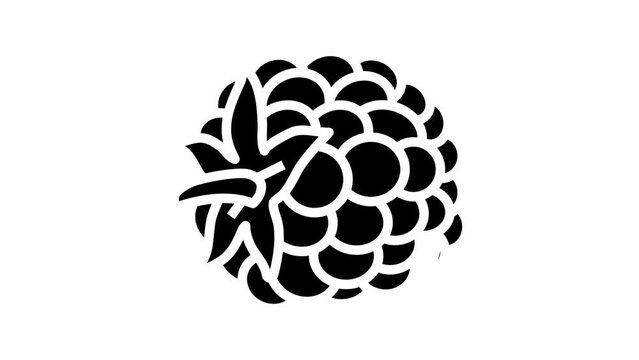 blackberry berry leaf line icon animation