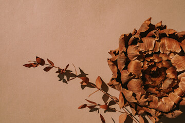 Aesthetic background with dried artichoke flower. Branding, portfolio, graphic design template. Copy space.