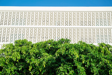 Green lush leaves of trees below the building with masonry screen wall exterior at Miami, Florida