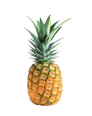 fresh pineapple isolated on transparent png