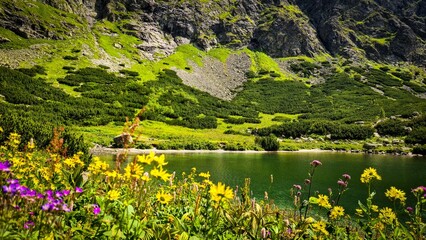Dolina Wielicka Tatry Słowackie - Gerlach © RITHOR