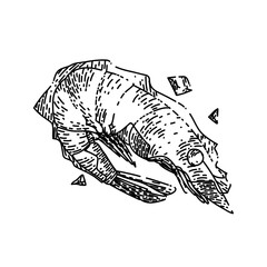 shrimp frozen hand drawn vector. ice seafood, raw food, fresh prawn fish, tail shellfish shrimp frozen sketch. isolated black illustration