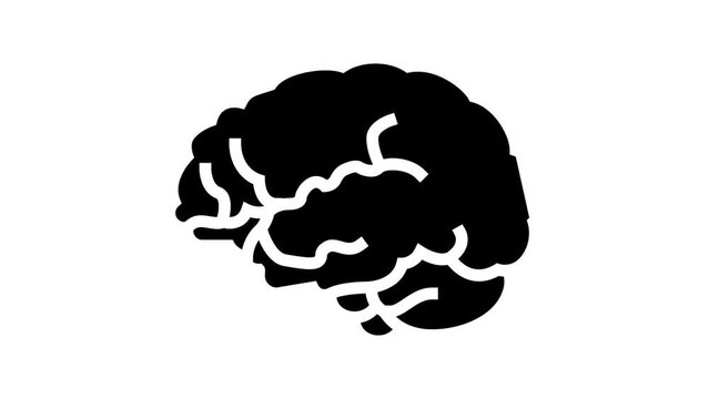 brain anatomy organ line icon animation