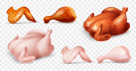 Realistic Chicken Set