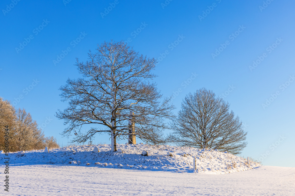 Wall mural Gestilren memorial stone in a wintry landscape