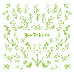 green floral elements' collection. Vector textured fir branches, leaf, berries, leaves botanical set. 