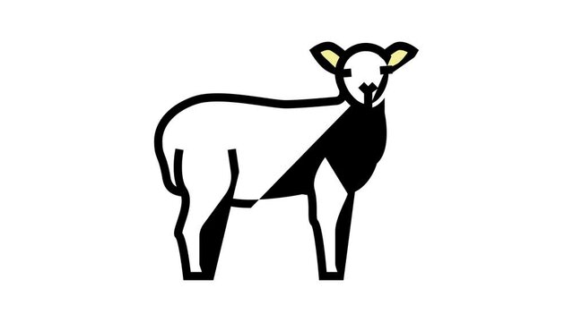 lamb domestic farm animal color icon animation