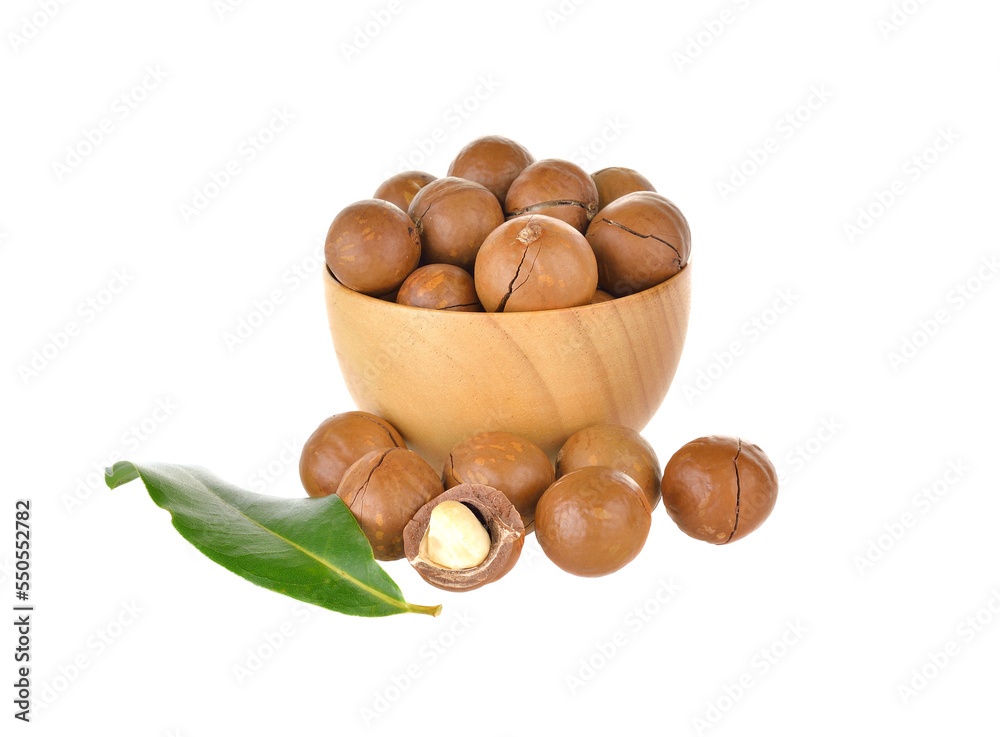 Poster macadamia nut on transparent png