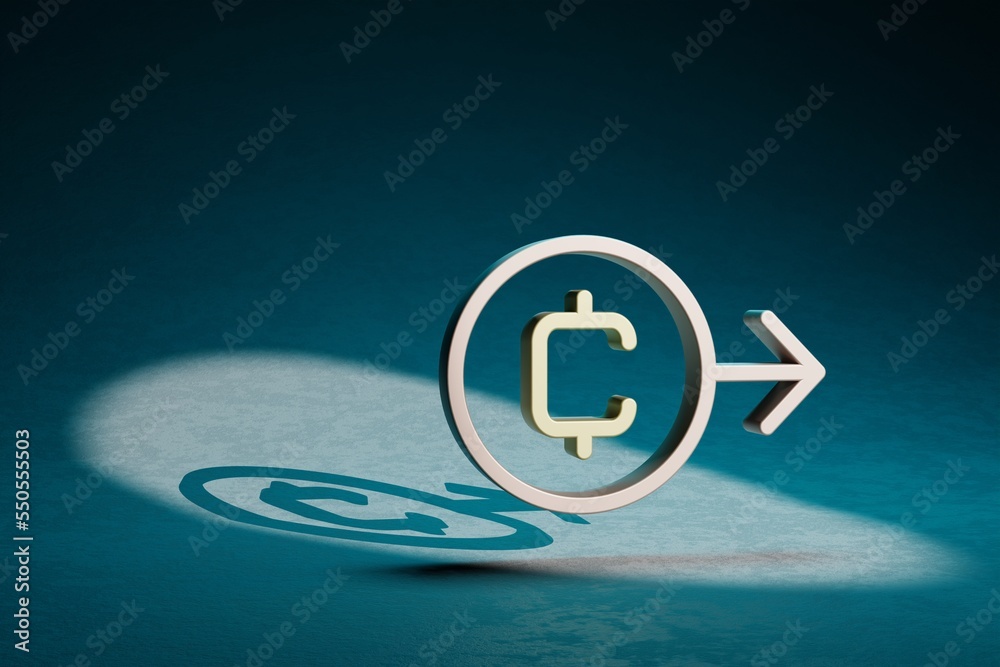 Leinwandbilder beautiful abstract illustrations coin token symbol icon on a dark blue background. 3d rendering illu