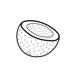 Coconut cut in half coloring page for adults and kids. Black and white print with coco in cartoon style. Outline fruit isolated element. Vector illustration