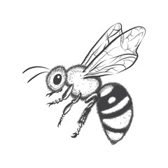 Vector bee line drawing black on white background