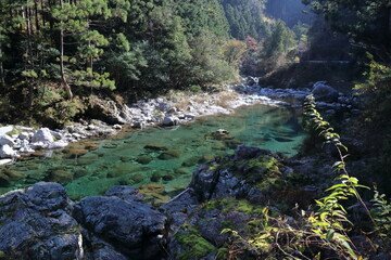 Naklejka na ściany i meble 晩秋の汗見川　吉野川支流　（高知県　本山町）