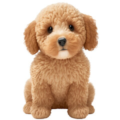 Obraz premium Adorable miniature goldendoodle dog