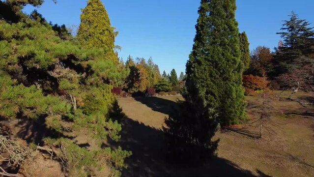 Queen Elizabeth Park, Vancouver