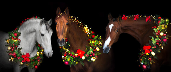 Horses in New year decor panorama