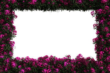 Green leaves and oleander border isolated on transparent background - 3D Illustration