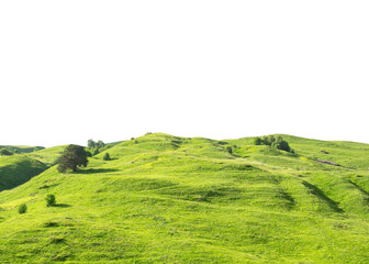 Panoramic landscape with green grass hill isolated on white background - 550565154