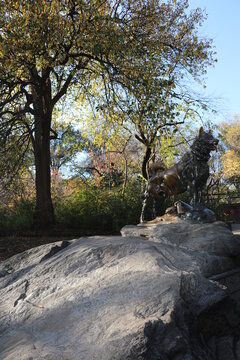 Balto's watching in Central Park