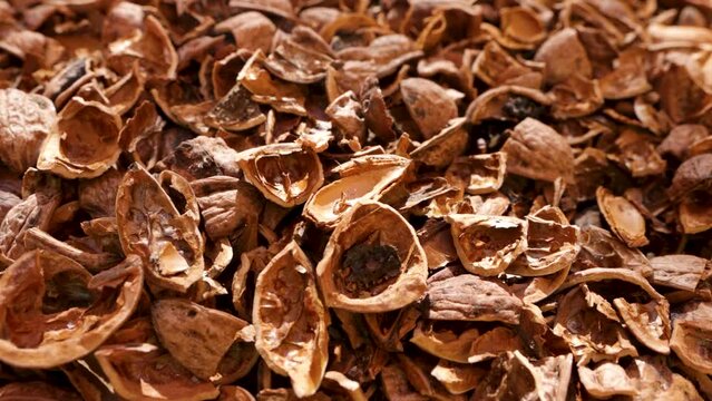 Dried walnut shells as bio and economic ecological fuel