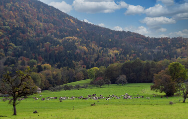 Fototapeta na wymiar view of mountain landscape in autumn