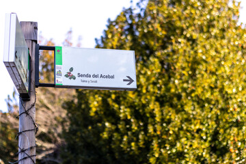 way sign of acebal de Garagüeta, Ilex aquifolium, Soria, Comunidad Autónoma de Castilla, Spain, Europe in winter with snow. Xmas season