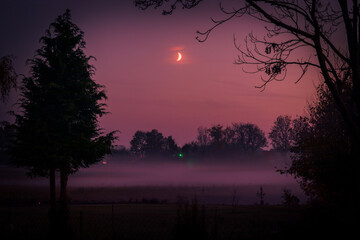 sunset in the forest