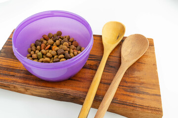 bowl with dry dog food  with wooden spoon on a wood board
