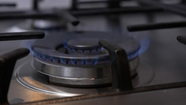 Close up natural gas stove burner flame. Gas hob / stove / cooker burning. Close up natural gas stove burner flame.