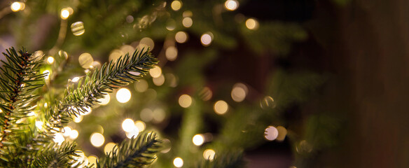 Christmas banner. Xmas tree and lights close up, copy space.